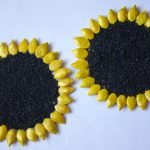 Girasoles
