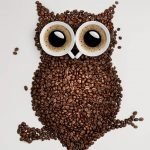 Búho café