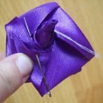 Hacemos brotes de cintas