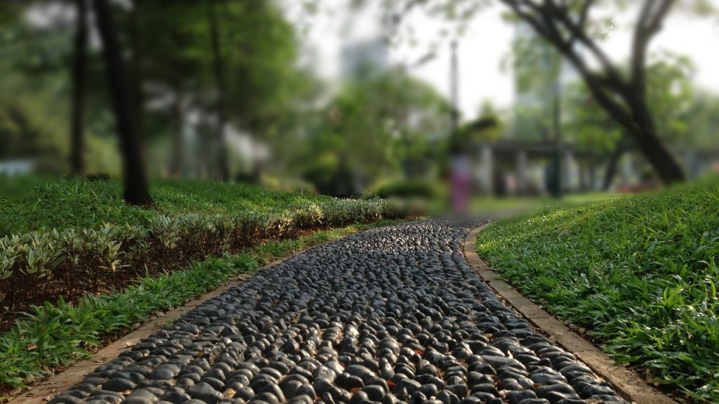 Camí de jardí