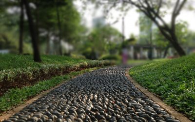 Qué hacer caminos en el país: hermoso y barato