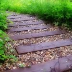 Camino casero en el país