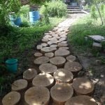 Camino en el país de madera cortada con sierra