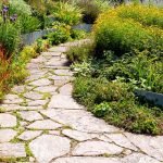 Camino decorativo en el país