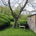 Estatuilla debajo de un árbol