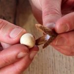 A la cuenta pegamos la cáscara de haya