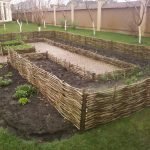 Viñedos en el jardín