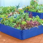 Camas de plástico en azul