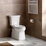Galería de fotos de la elección del color de la decoración del baño