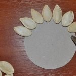 Pega las semillas en un círculo