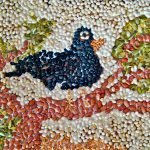 Pájaro en una rama