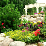 Jardín alpino