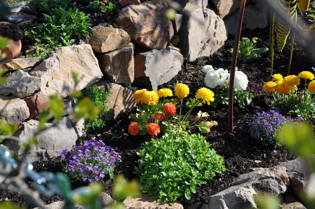 Plantas de diapositivas alpinas