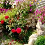 Rosas en la cáscara