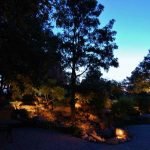 Luz de fondo en el sitio