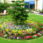 Un árbol en una cama de flores.