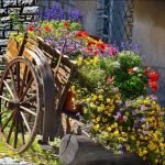 Carro con flores