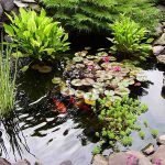 Estanque con plantas acuáticas.