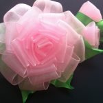 Rosa con brotes
