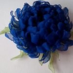 Crisantemo azul