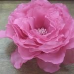 Rosa tierna