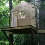 Construimos una casa en el arbol
