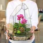 Planta de flores