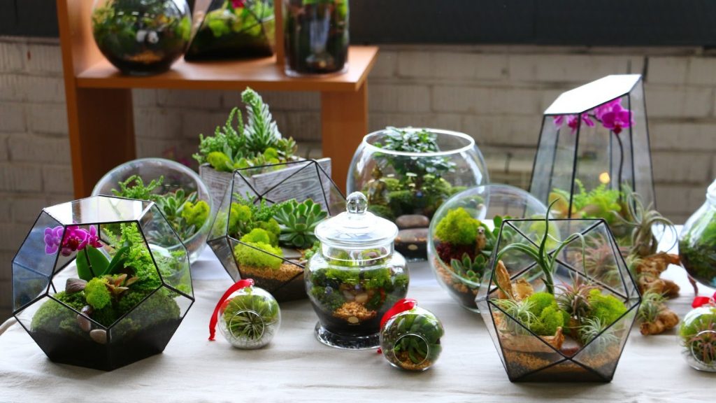 Kvetinárstvo pre domácich majstrov