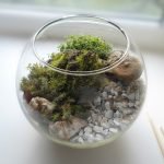 Frasco con piedras de montaña