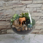 Montañas en un vaso