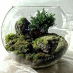 Plantas forestales