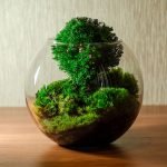 Arbol poderoso