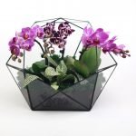 Hermosas flores