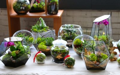 DIY Florarium