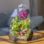 Poliedro con Orquídeas