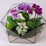 Poliedro en flor