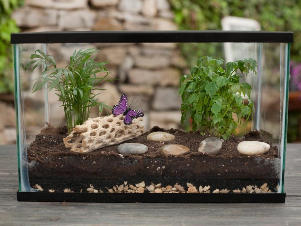 Florarium en el acuario