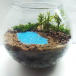 Florarium con un lago