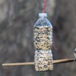 Alimentador de botellas de plástico