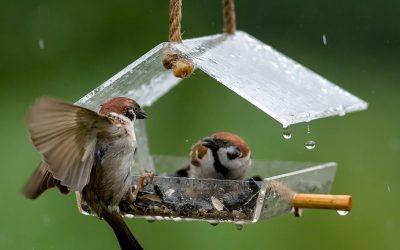 Comederos para pájaros bricolaje