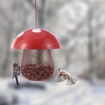 Comedero de setas para pájaros