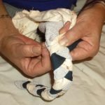 Sujetado con un alfiler