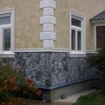 Arbustos debajo de las ventanas