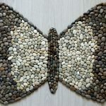 Mariposa