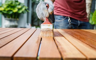 Revestimiento de pintura dentro de la casa: hermosas ideas