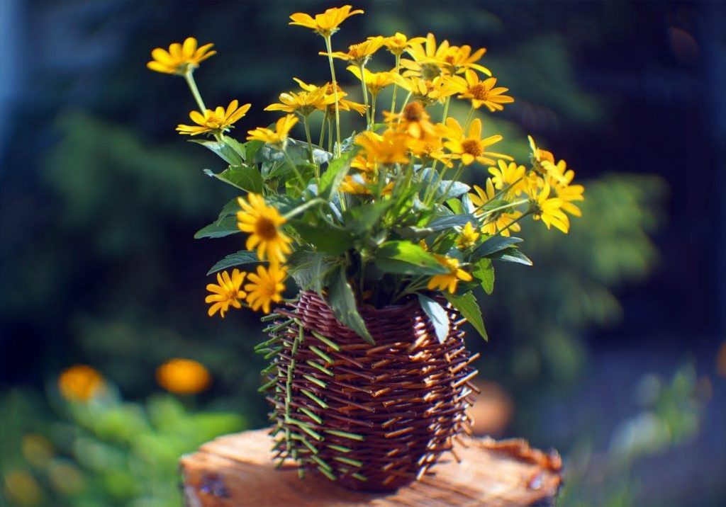 Florero De Espina