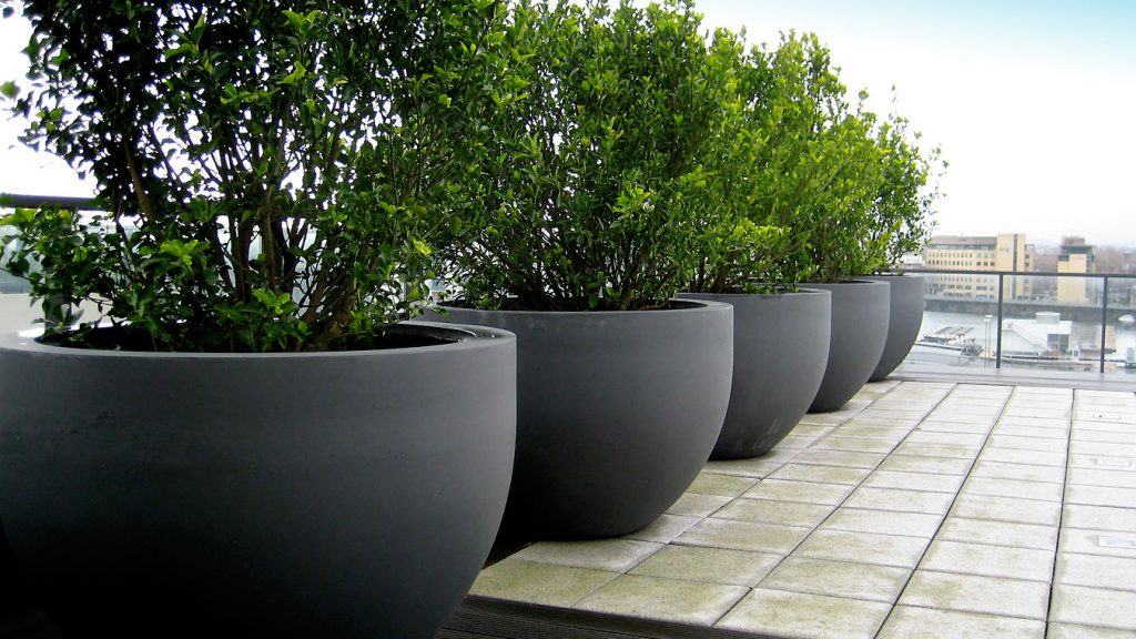 Puķu podi no betona