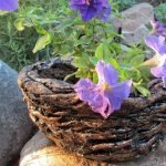 Florero de la cesta