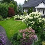 Hortensia blanca en diseño paisajístico
