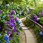 Hortensia en el diseño del paisaje